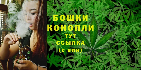 mix Белокуриха