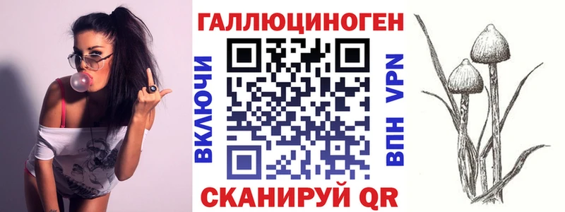 маркетплейс наркотические препараты  Плёс  Галлюциногенные грибы Psilocybine cubensis 